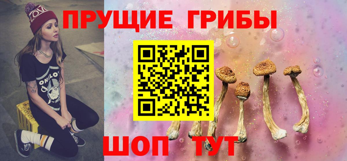 Лабинск  Псилоцибиновые грибы MAGIC MUSHROOMS  Вход с VPN 
